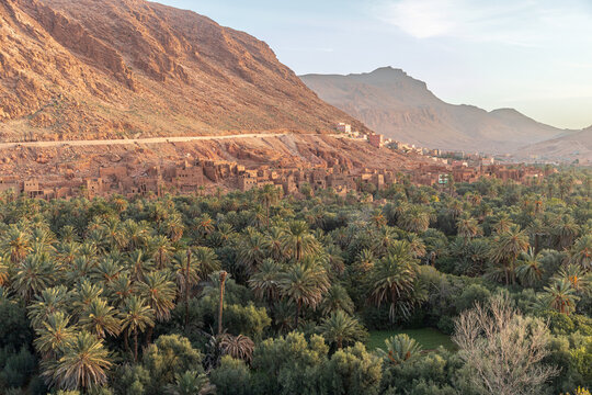 Palm oasis and village at golden sunset in Morocco
