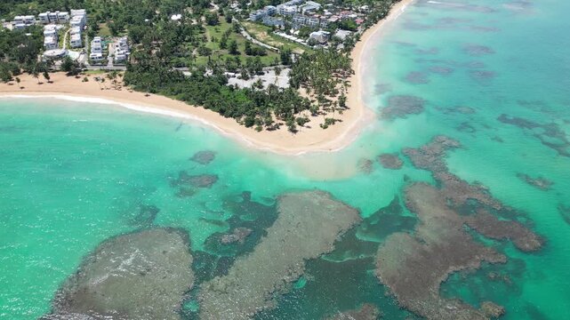 Scenic 4K footage of Punta Popy Beach &mdash; beach, ocean, and palms under sunny weather. Best for travel vlogs