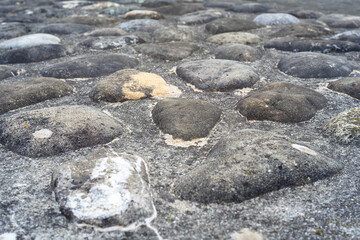Close-up of Cobblestone Pavement