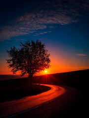 Road at sunset with tree in backlight created in Generative AI
