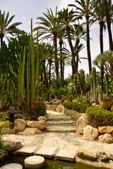 ścieżka z betonowych kręgów i kamienne schody w egzotycznym ogrodzie z palmami, gaj palmowy, a path of concrete circles on the pond, Huerto Del Cura Botanical garden palm in Elche, Alicante, spain, © kateej