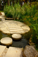 ścieżka z betonowych kręgów na stawie, egzotyczny ogród z palmami i kaktusami, gaj palmowy, a path of concrete circles on the pond, Botanical garden in Elche, Alicante, spain,  © kateej