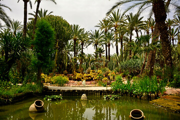 egzotyczny ogród ze stawem i wysokimi palmami, gaj palmowy w Elche, Botanical garden in Elche, Alicante, spain, Water pond and palm trees and cacti, Huerto Del Cura Botanical Garden Palm  © kateej