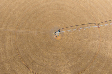 Irrigation sprinkler on a circular field