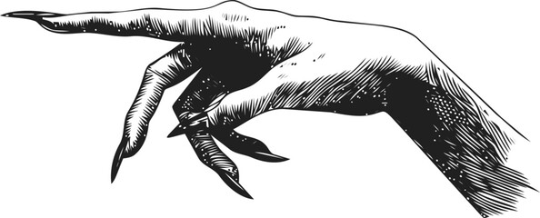 Witch hand sketch hand drawn with long nails pointing left detailed vintage style — stock vector