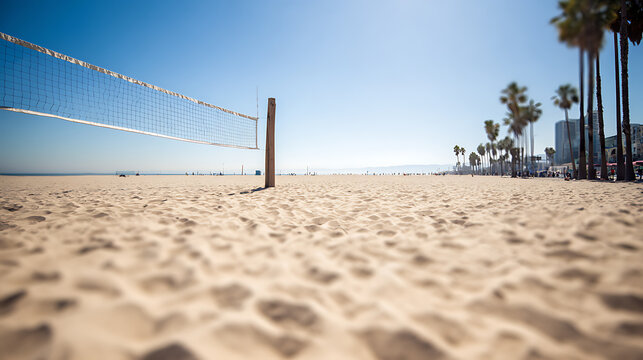 Beach volleyball net on sandy shore with palm trees and clear blue sky
