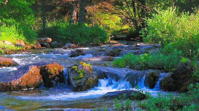 20-second video still of the El Galba River in the Pyrenees in summer.
Water running among rocks and mountain forests in the south of France in the commune of Esposolla.
