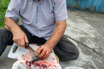 hands preparing fish with a knife on a cutting board