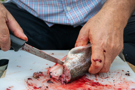 hands preparing fish with a knife on a cutting board