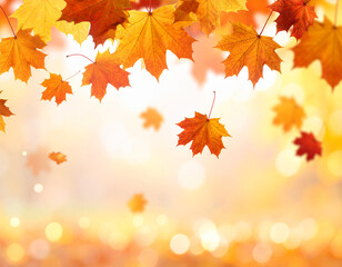 Obraz premium Vibrant Autumn Maple Leaves Falling, Golden Bokeh Background, Seasonal Beauty.