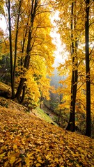 Autumn forest scene with vibrant golden leaves