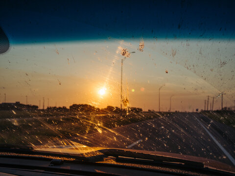 Bug Splatter On Vehicle Windshield