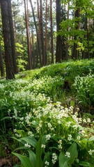 Forest floor blanketed in wildflowers