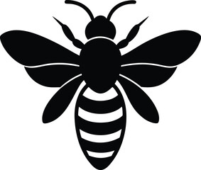 A vector drawing of a bee and butterfly on a beautiful black and white floral design with leaves and petals