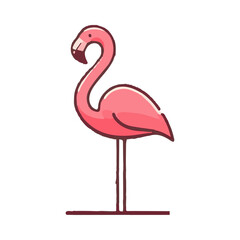 
flamingo illustration design
