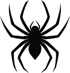 black spider isolated on transparent background