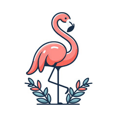 
flamingo illustration design