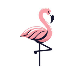 
flamingo illustration design