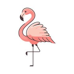 
flamingo illustration design