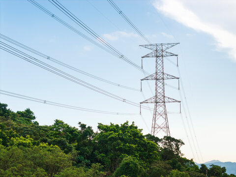 Electricity Pylon in Green Forest Landscape - Powered by Adobe
