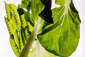 Green vegetables, leafy greens 