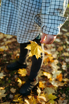 Holding a Vibrant Yellow Leaf in Autumn's Embrace