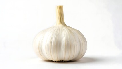 Single bulb of fresh white garlic with a long stem on a white background