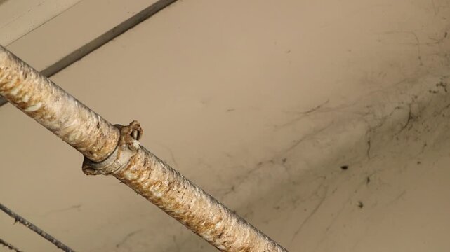 Pigeon on stoop flying away