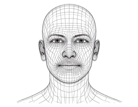 Wireframe human head