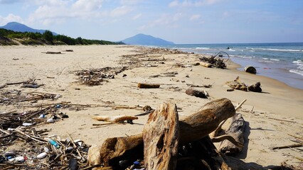 lots of garbage on the seaside beach