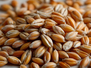 Fototapeta premium Wheat grain close up with natural texture and warm brown color, showing detailed surface and organic appearance