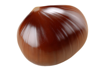 Glossy brown chestnut with striated shell on white background