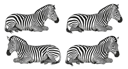 Four zebras resting with their legs tucked beneath them in a repeating pattern illustration