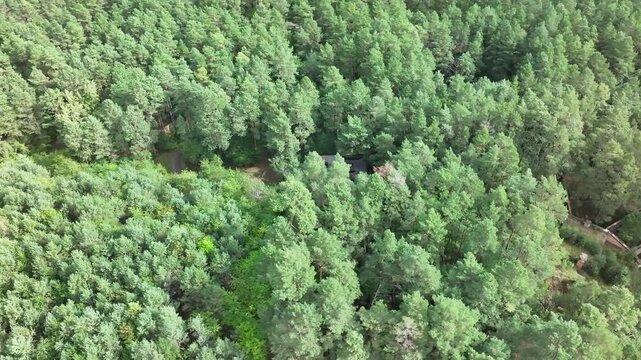 Aerial Bydgoszcz ruins Poland German explosive factory circle 1. Northern Poland. One of largest WW II Nazi German war ammunition explosive manufacturing facilities. Slave labor Jews and Polish.