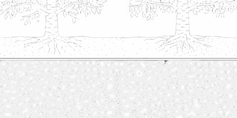Cross section of soil showing tree roots in the ground and a layer of pebbles and soil below