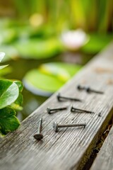 Rusty Nails On Aged Wooden Plank By Pond