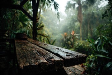 Wet Wooden Picnic Table In Rainforest