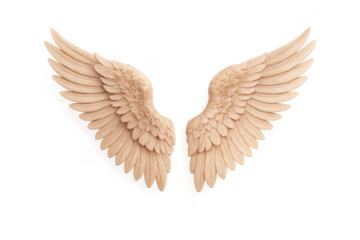 Polished rose gold feathered wings on clean white studio backdrop with soft shadow isolated decorative element for premium design use