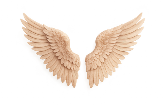 Polished rose gold feathered wings on clean white studio backdrop with soft shadow isolated decorative element for premium design use