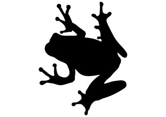 Obraz premium カエルのシルエット