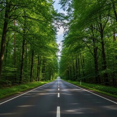 Fototapeta premium Forest road through lush trees
