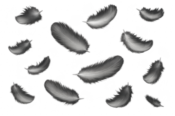 Weightless white feathers drifting through deep black backdrop elegant soft motion minimalist monochrome background with delicate floating texture