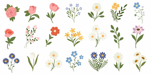 Collection of various hand drawn floral elements and botanical illustrations on white background