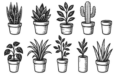 Potted plant doodle collection isolated on transparent background, generative ai