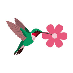 Fototapeta premium Hummingbird with flower: Capturing the beauty of nature with a vibrant hummingbird and a delicate flower, a harmonious symphony of color and grace. 