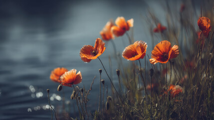 Obraz premium Vibrant orange poppies bloom gracefully near serene water body, creating picturesque scene filled with natural beauty and tranquility. soft sunlight enhances delicate petals, reflecting peaceful