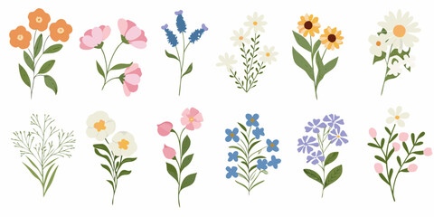 Collection of various colorful blooming flowers and green leaf branches isolated on white background