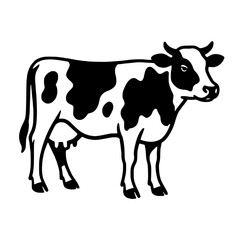 black and white cow