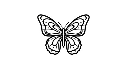 Detailed Black and White Butterfly Illustration on White