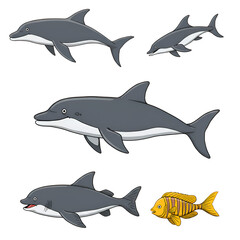 Obraz premium Dolphins and a Fish